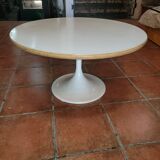 Tulip foot coffee table