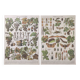 Lot deux Planches lithographies sur les maladies de la vigne 1900