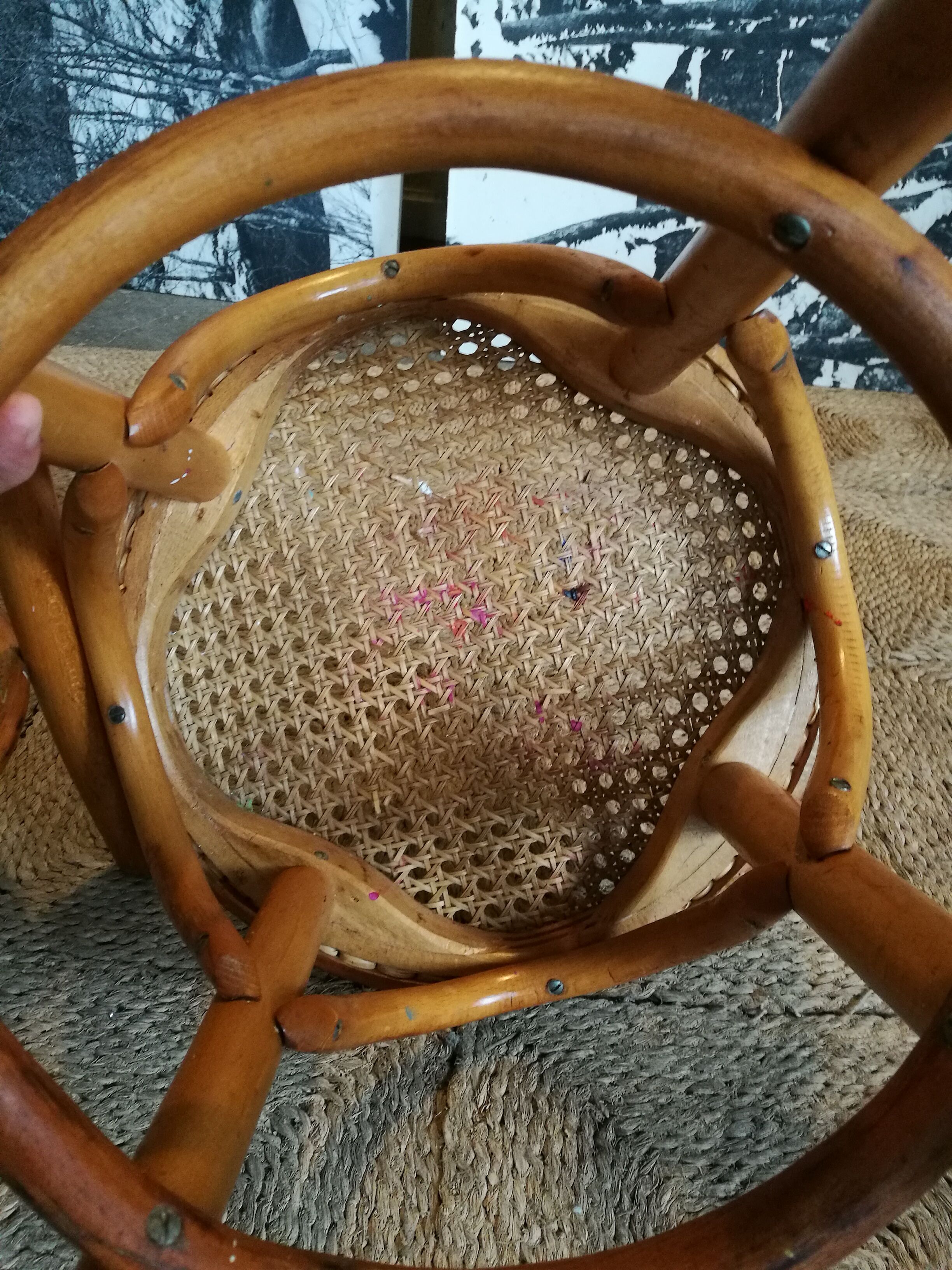 Pair of curved wooden stools