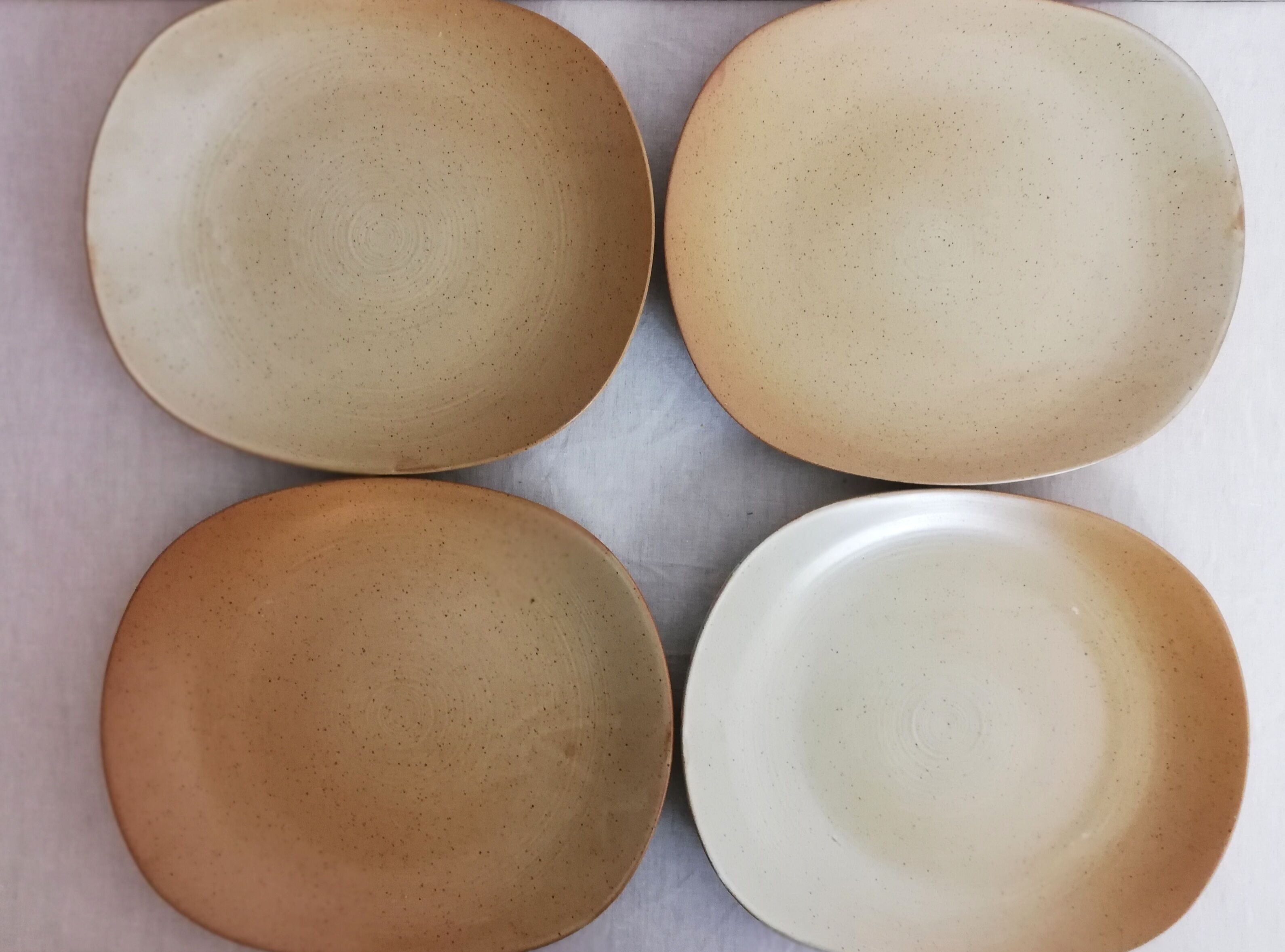 Service 11 steak plates Grès Village CNP