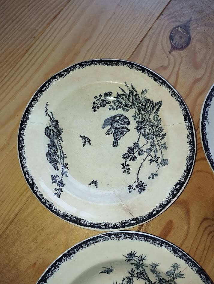 Flat Plates “Terre de Fer – The Chicks” (5 pieces)