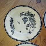 Flat Plates “Terre de Fer – The Chicks” (5 pieces)