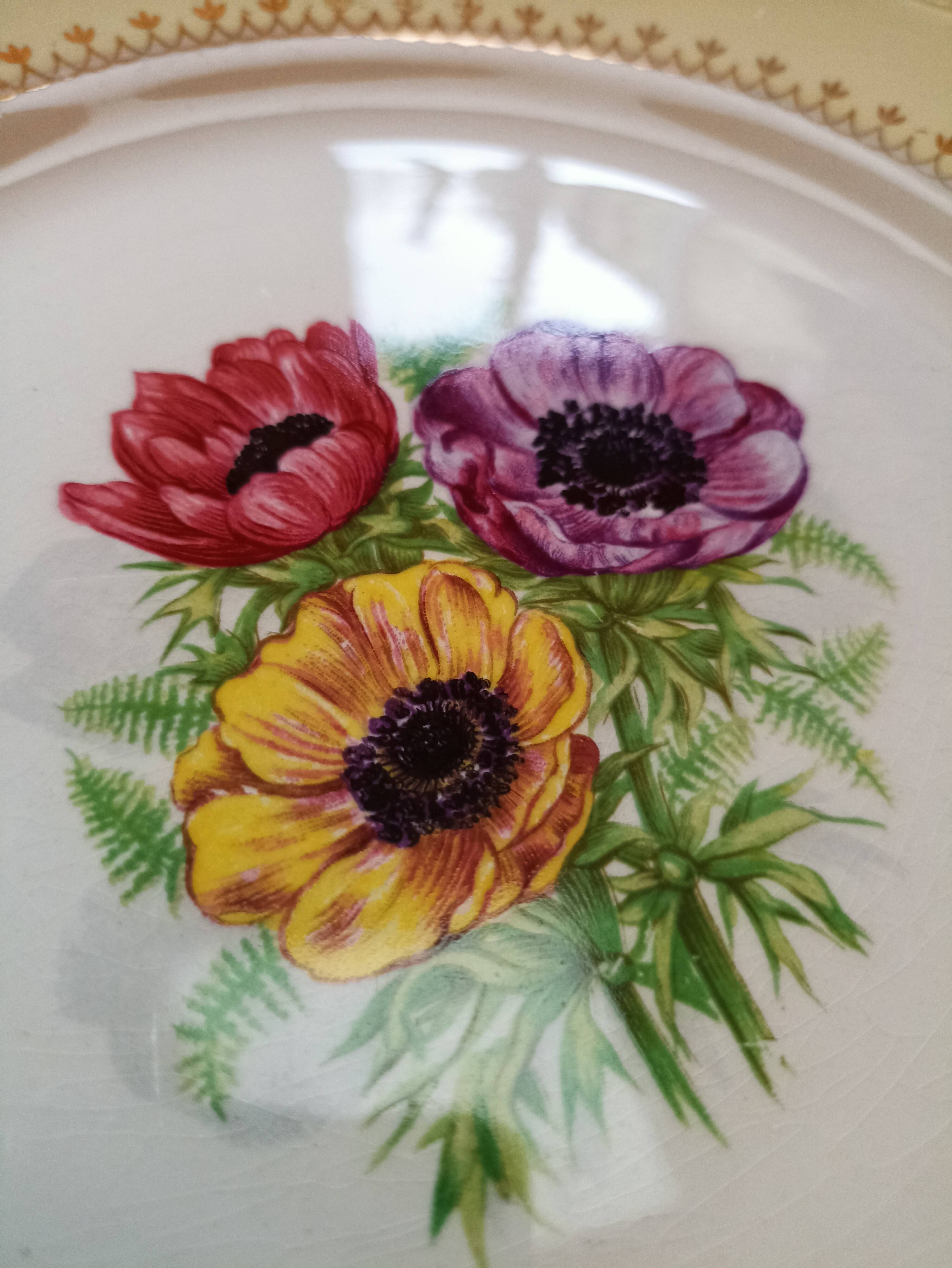 Flat plates L'amandinoise