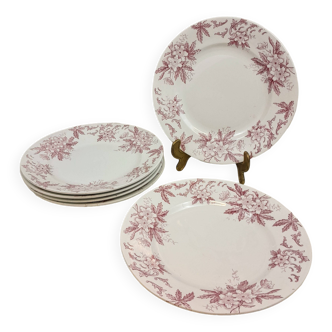 6 Amandinoise Anemone flat plates