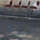 Set de 4 chaises vintage chrome et tissu marron