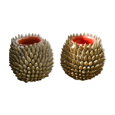 Vases coquillage
