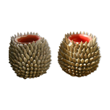 Seashell vases