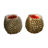 Seashell vases