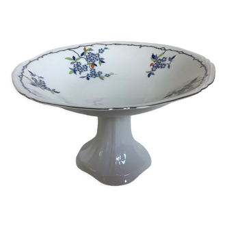 Ancien plat pied douche fleurs miosotis czecho slovakia