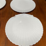 Shellfish plates