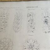 Architectural drawing 1857, glazed wood frame