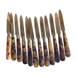 Dessert cutlery service of 12 horn and vermeil knives