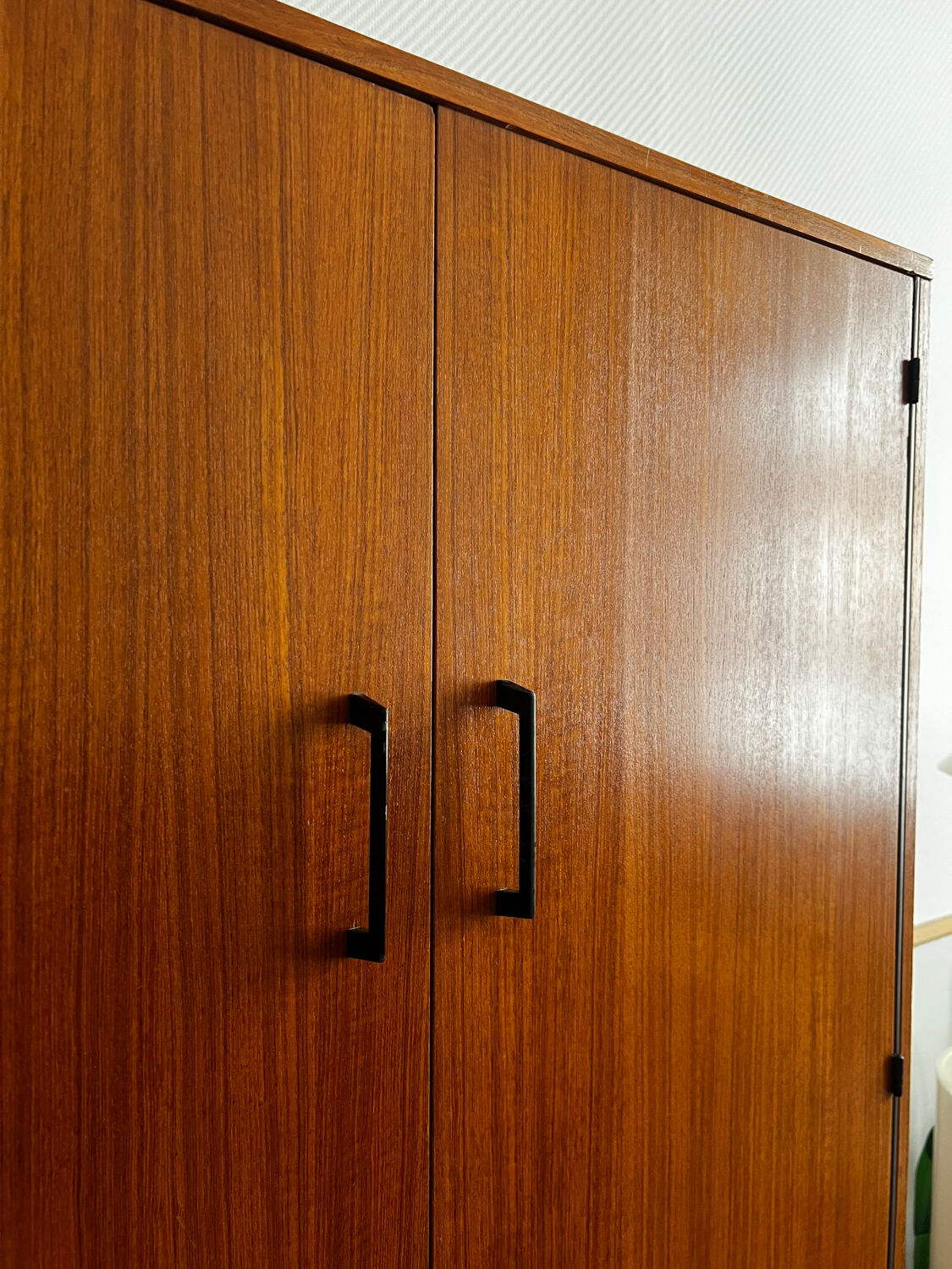 "Brissac" wardrobe in teak, 1950s