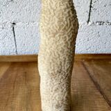 Vintage white coral