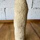 Corail blanc vintage