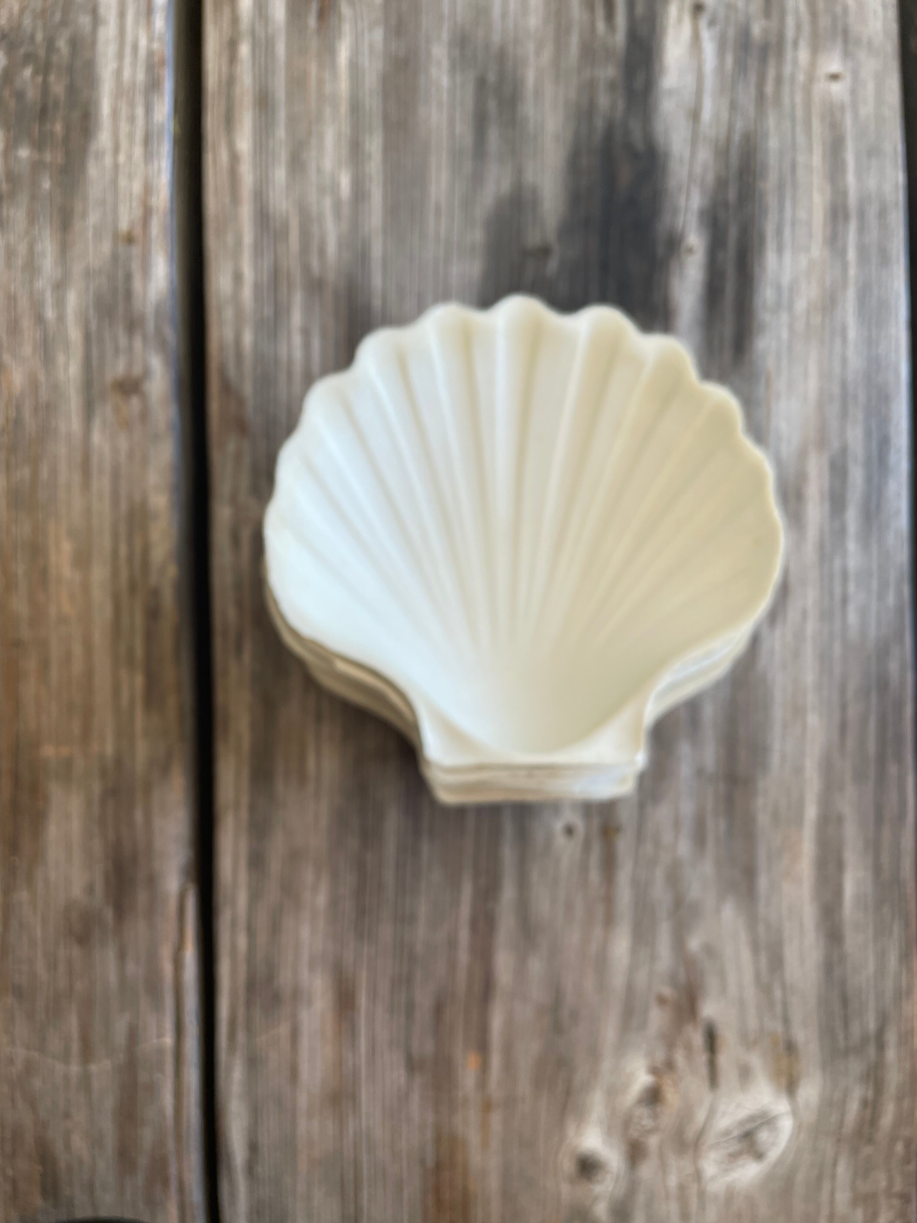 Lot de 6 coupelles coquillages en céramique