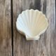 Lot de 6 coupelles coquillages en céramique