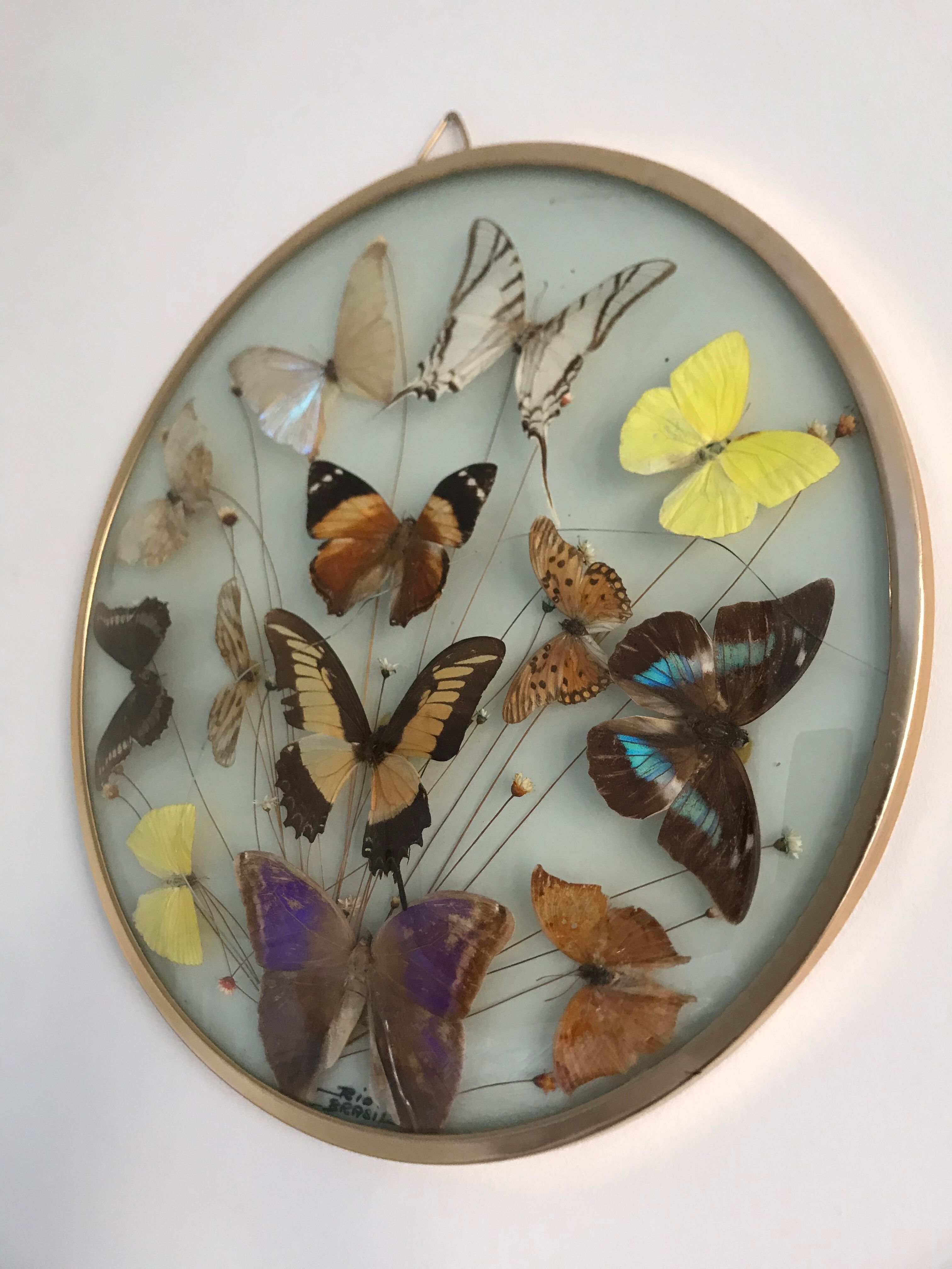 Vintage butterfly frame