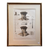 Print Engraving Material Surgery Seton Treatise Anatomy Man BOURGERY