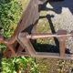 Pair of antique church pews