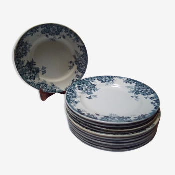 Set de 12 assiettes plates Marie Louise Moulin des loups