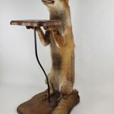 Stuffed Taxidermy Fox Stuffed