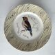 7 assiettes anciennes à décor d’oiseaux