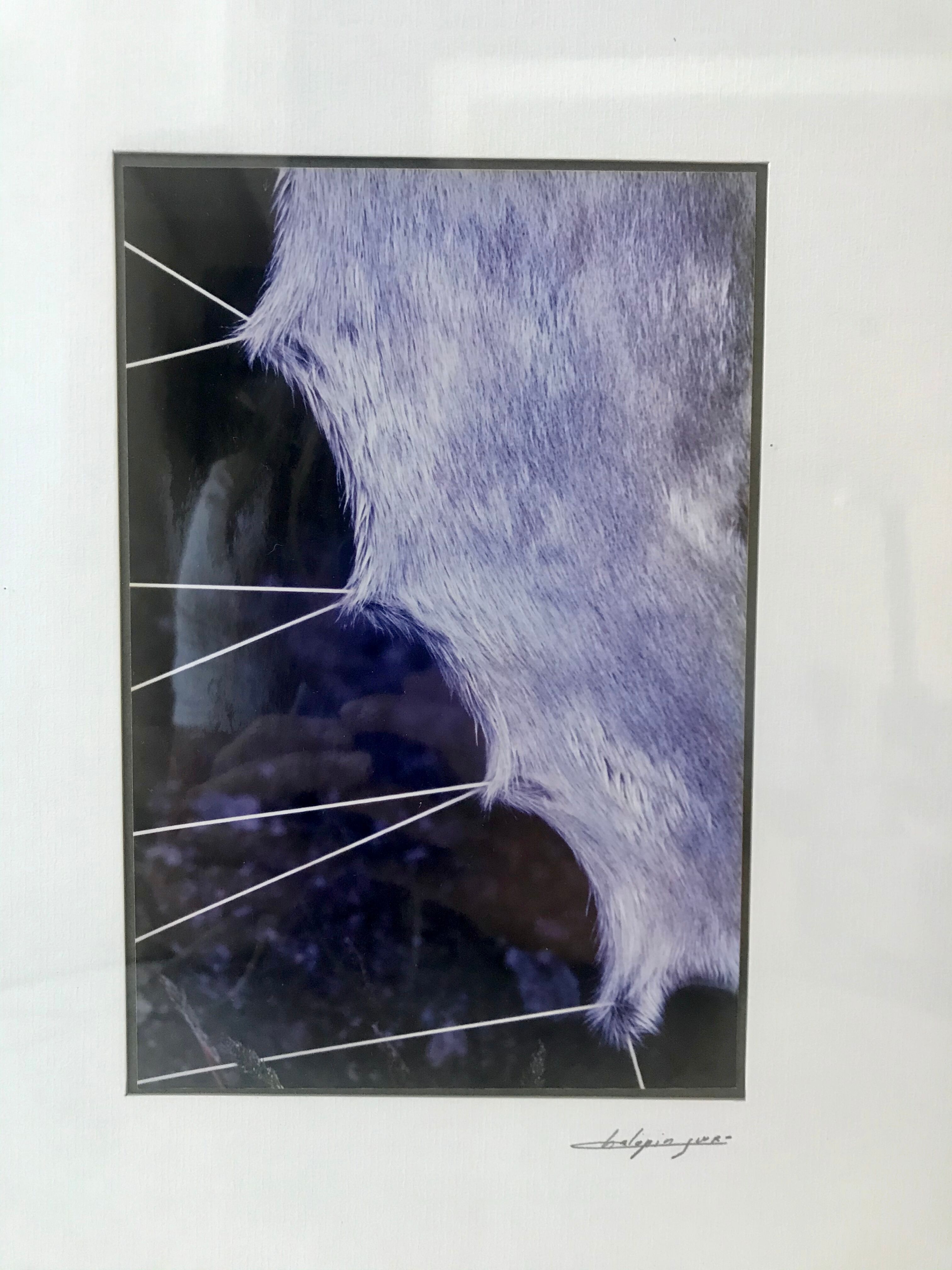 Vintage photograph illustration