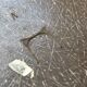 Pair of Eames high stools for Herman Miller – circa 1970