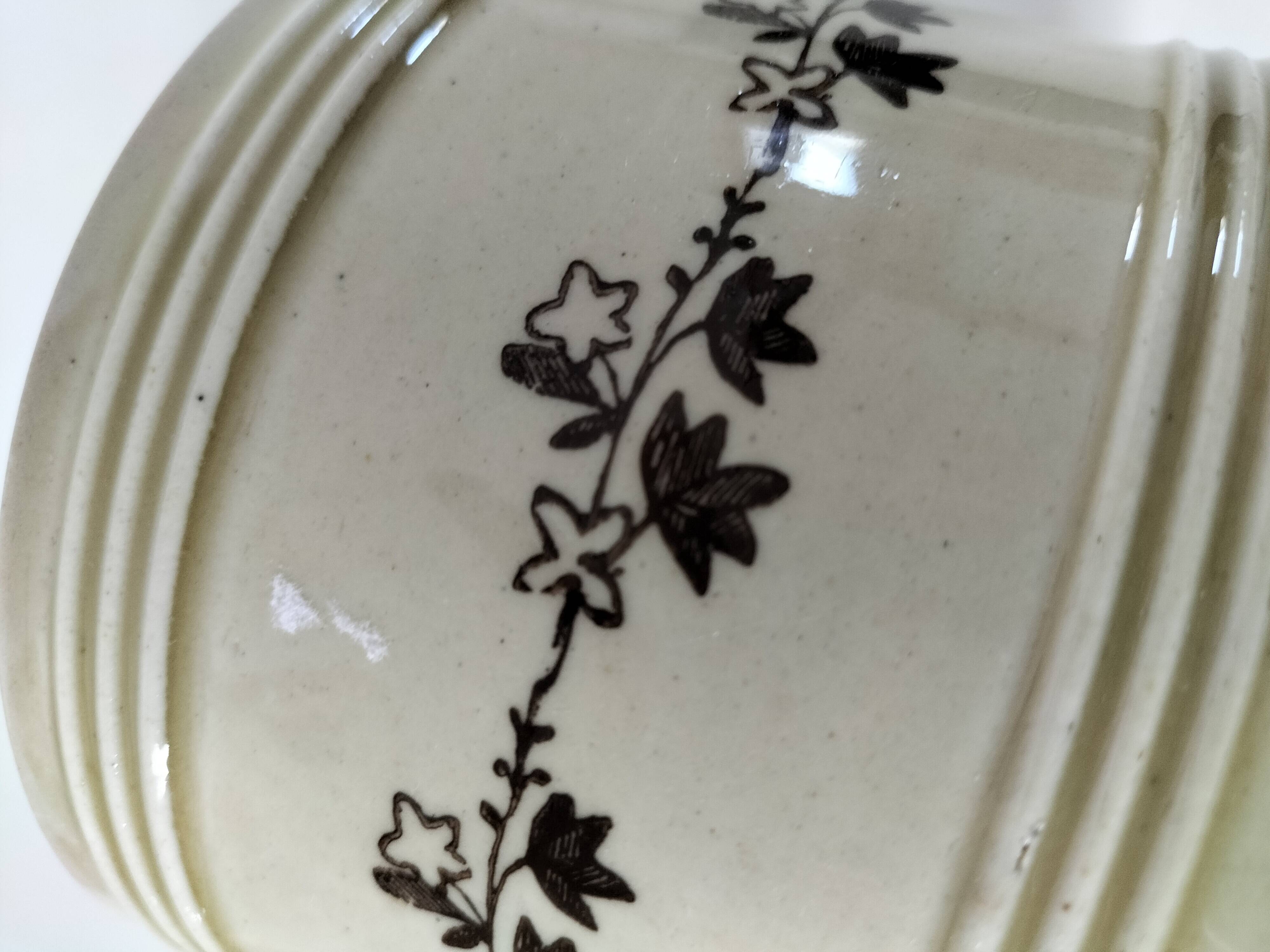 Beurrier à eau Saint-Uze Revol, décor lierre, modèle n°312, avant 1911