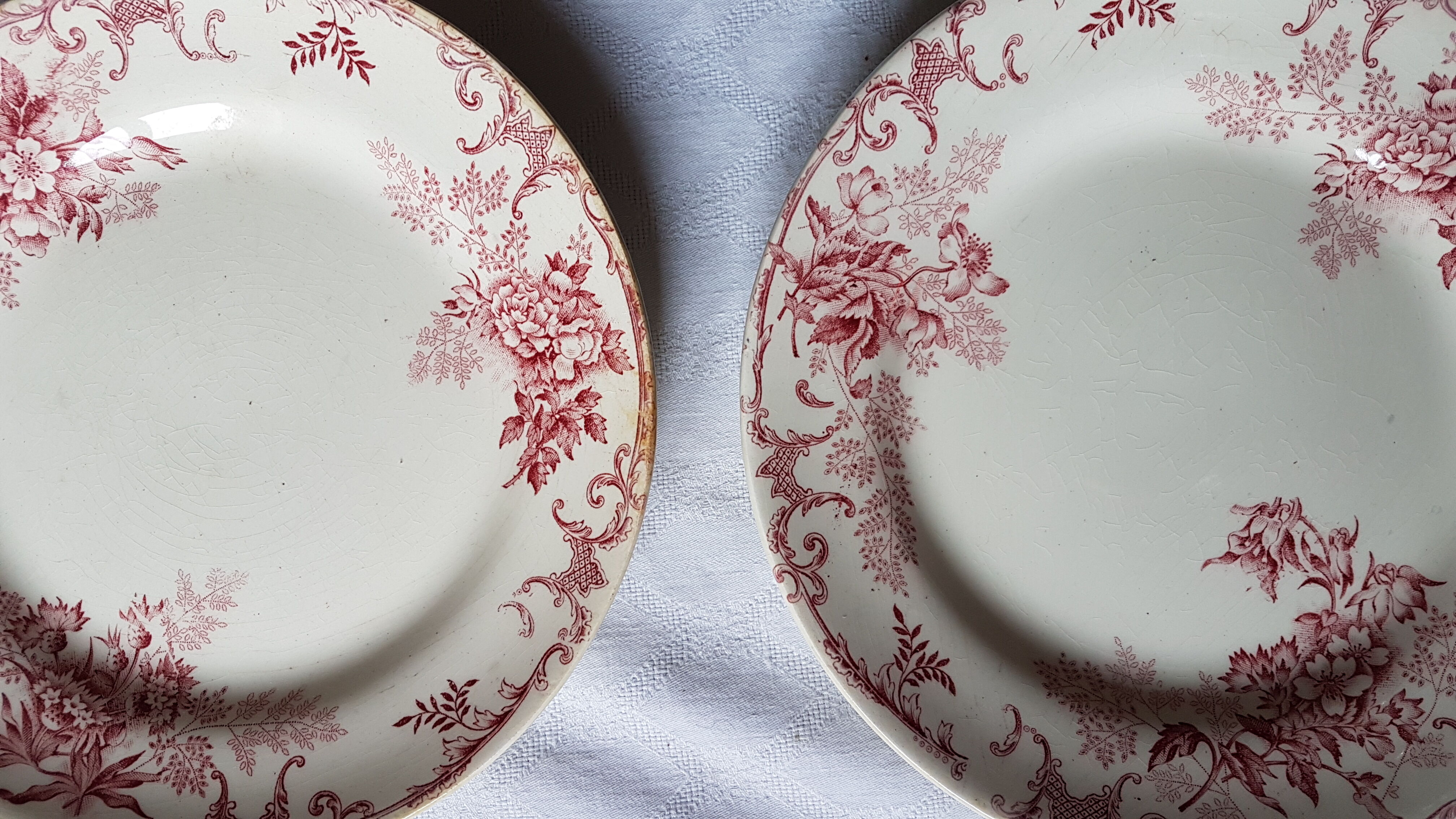 Paire d'assiettes en faïence à décor de fleurs