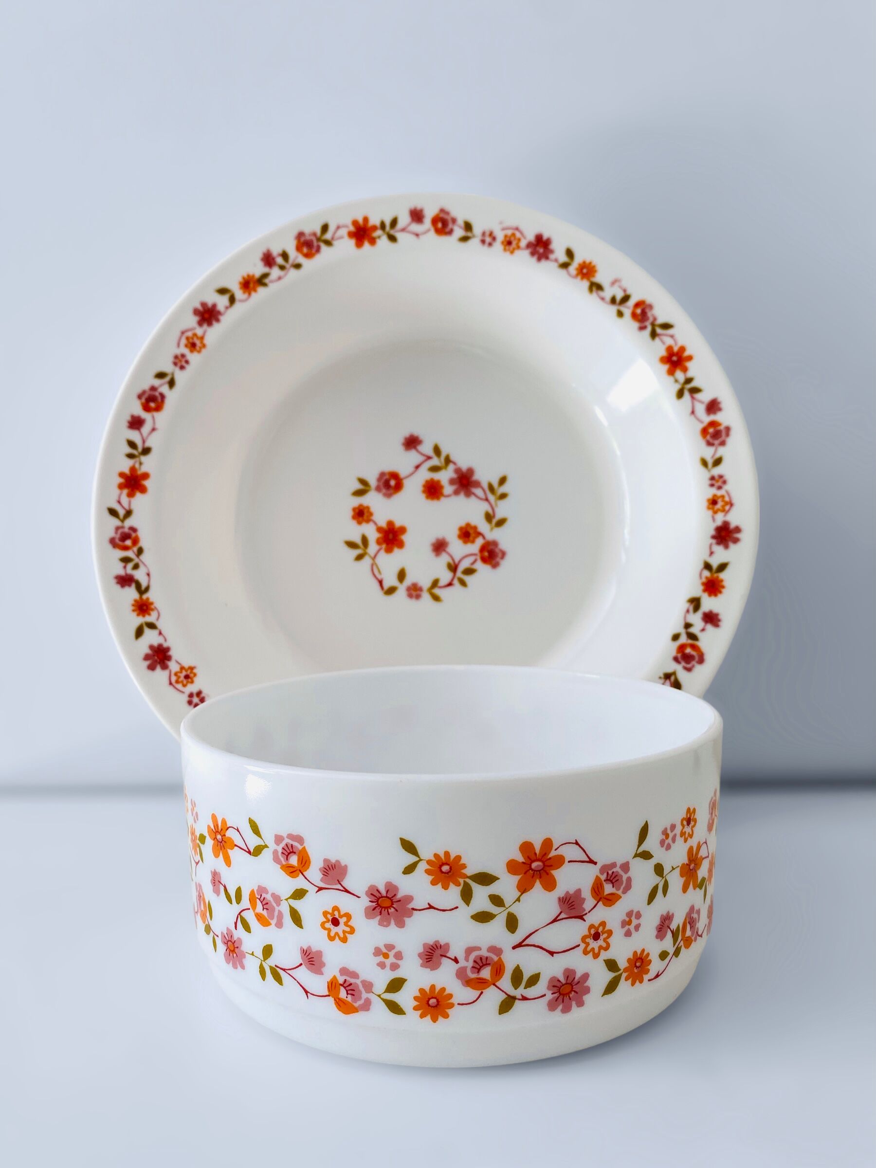 Arcopal scania dish and salad bowl