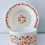 Arcopal scania dish and salad bowl