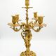 Louis XV style chandelier in gilded bronze
