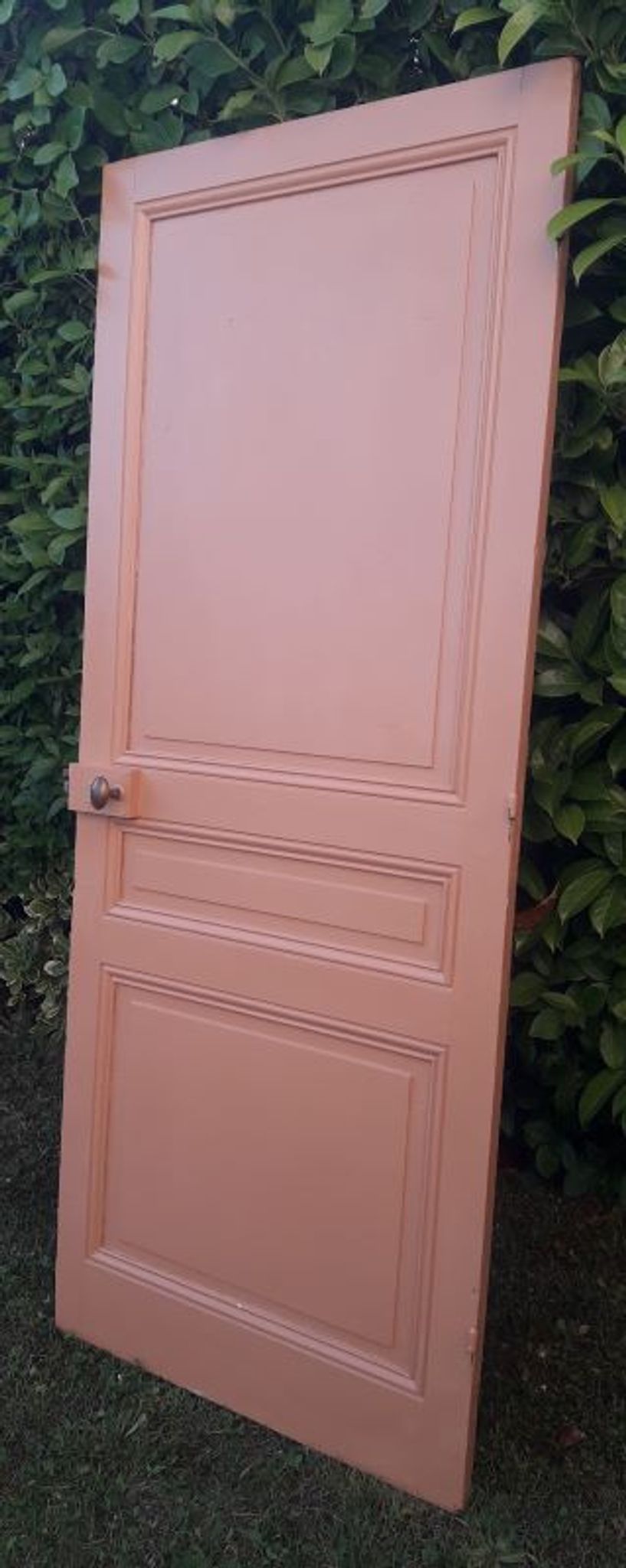 Porte 199x82,8cm ancienne moulurée