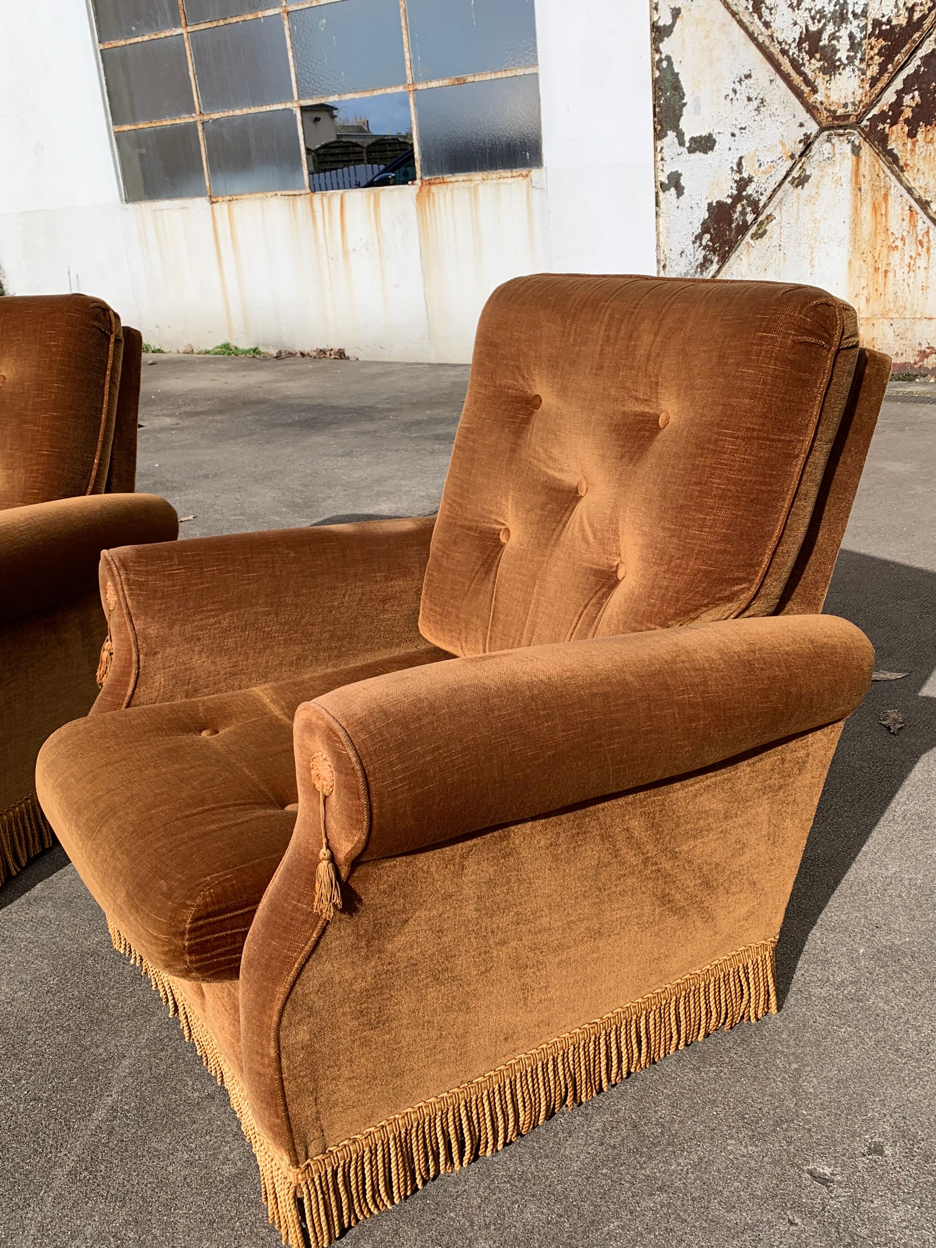 Pair of toad armchairs in old gold velvet