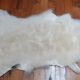 New sheepskin
