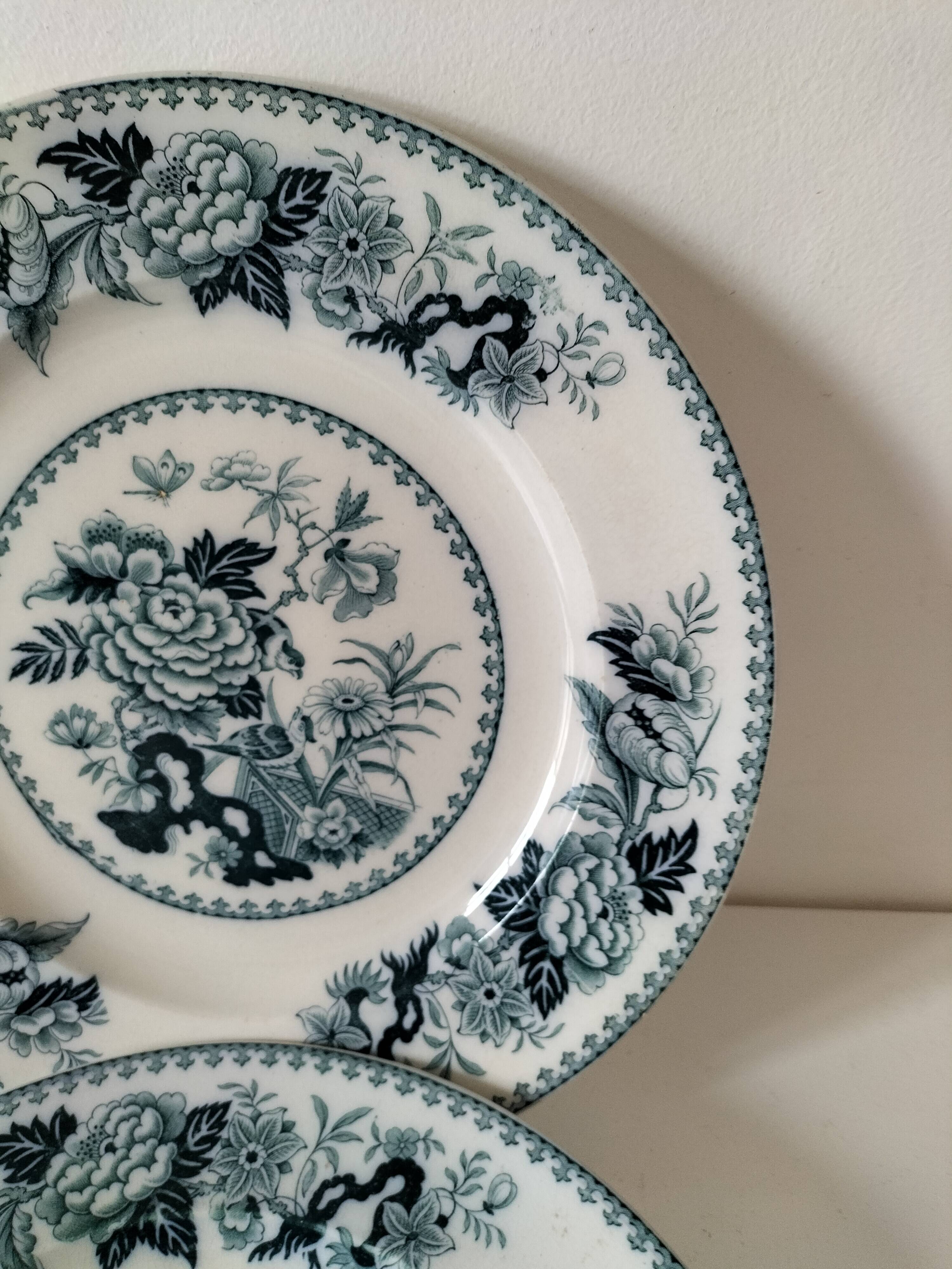 Vintage Wedgwood Bullfinch Plates