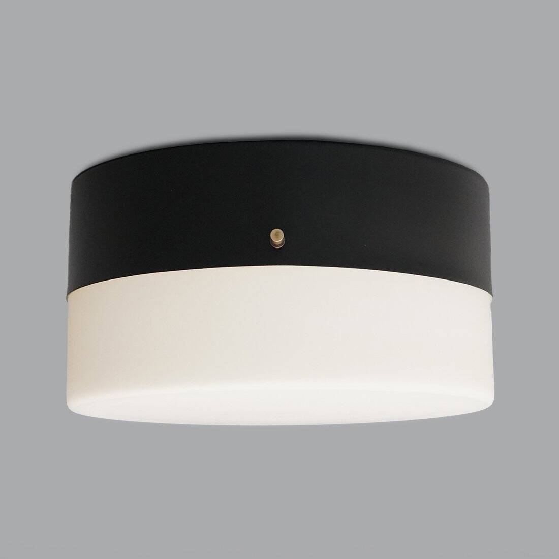 Vintage Opaline Glass Chandelier, 1950s