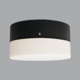 Vintage Opaline Glass Chandelier, 1950s