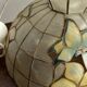 Pendant light, chandelier in mother-of-pearl and brass