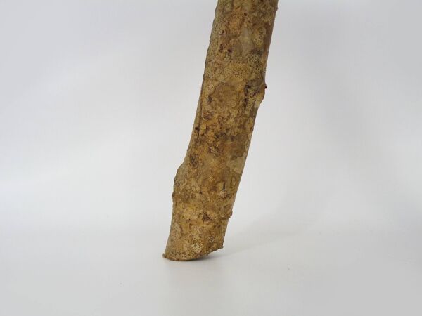 Tabouret de traite tripode en chêne, art paysan Ariège, France (XIXe siècle)