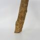 Tripod oak milking stool, Ariège peasant art, France (19th century)