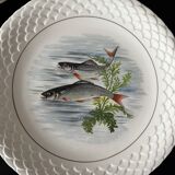 fish plates Gien