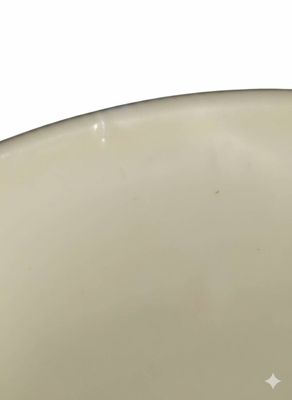 Plat Kenya Raynaud porcelaine de Limoges