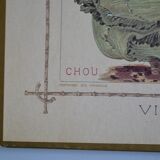 Vintage botanical poster "Cabbages"