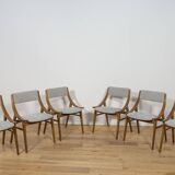 Ski Jumper Chairs from Zamojska, Poland, 1970s, Set of 6
