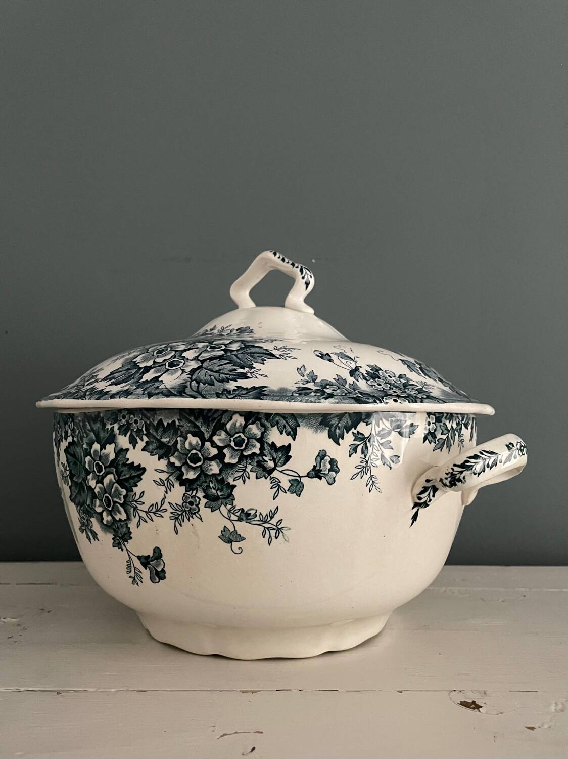Tureen 1900 Terre de Fer “Marie-Louise” St Amand and Hamage