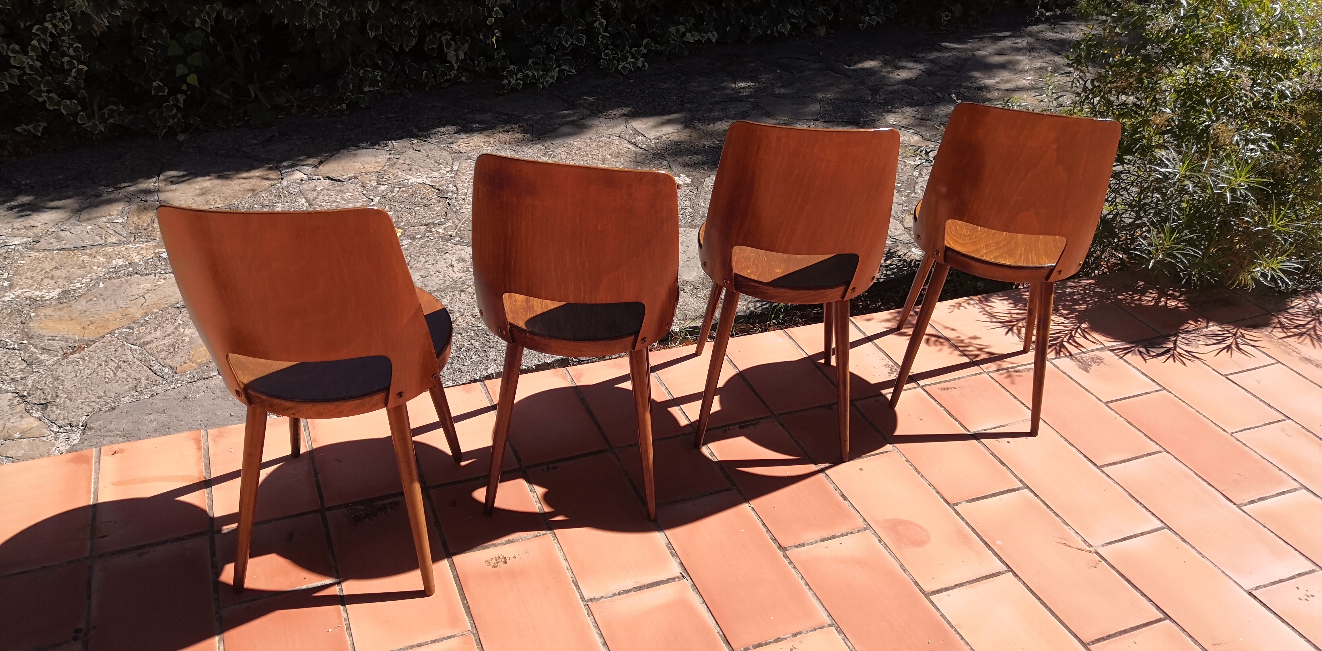 Vintage baumann mondor chairs 60