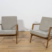 Mid-Century Model 300-139 Armchairs from Swarzędzka Factory, Poland, 1960s.